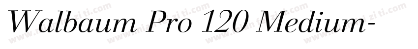 Walbaum Pro 120 Medium字体转换